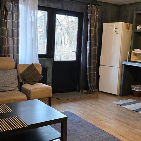Vila Curtea de Argeş Extérieur photo